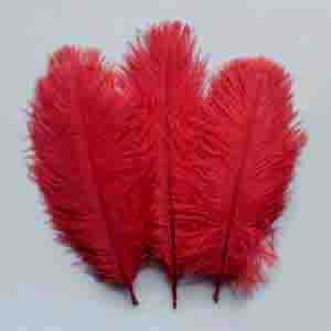 Ostrich feather - RED - Col.148